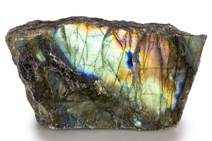 Single Side Polished Labradorite Section - Madagascar #324643